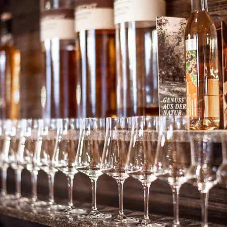 Tradition Julen 호텔 4*